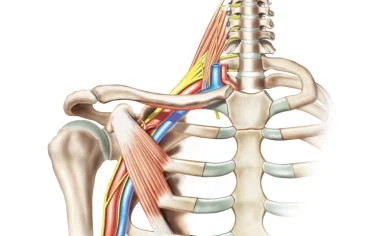 شبکه بازویی چیست
